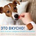 Фронтлайн НексгарД (M) – жевательная таблетка от клещей и блох для собак весом 4,1-10 кг 