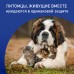 Фронтлайн Спрей 100 мл – для защиты собак и кошек от клещей и блох 
